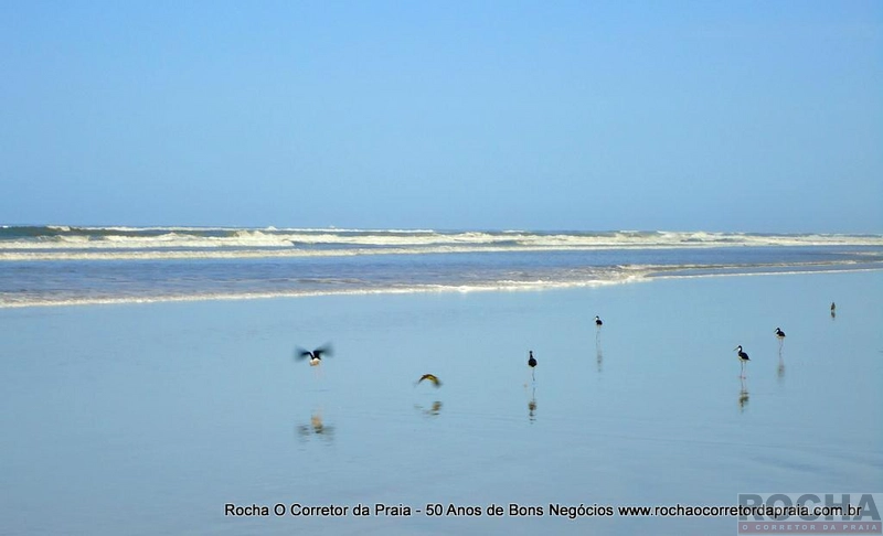 : 1ª foto da galeria de imagens do imóvel