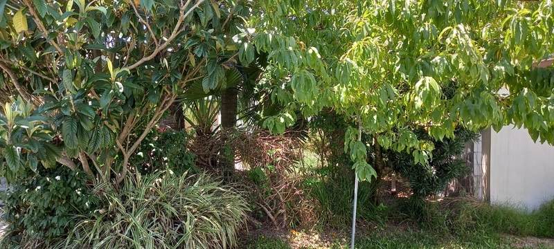 XANGRI-LÁ - SOBRADO FRENTE SERRA: 9ª foto da galeria de imagens do imóvel