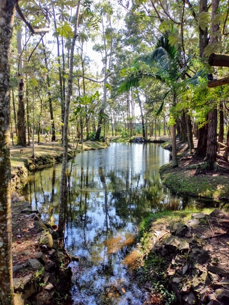 Casa em Condomínio Fechado com 4 dormitórios: 22ª foto da galeria de imagens do imóvel