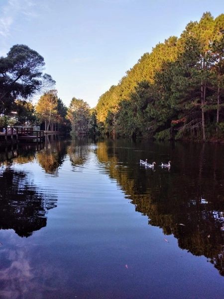 Casa em Condomínio Fechado com 4 dormitórios: 19ª foto da galeria de imagens do imóvel