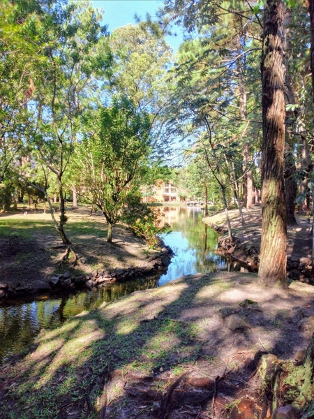Casa em Condomínio Fechado com 4 dormitórios: 23ª foto da galeria de imagens do imóvel