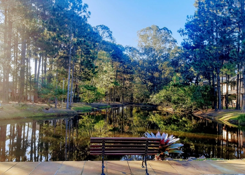 Casa em Condomínio Fechado com 4 dormitórios: 27ª foto da galeria de imagens do imóvel