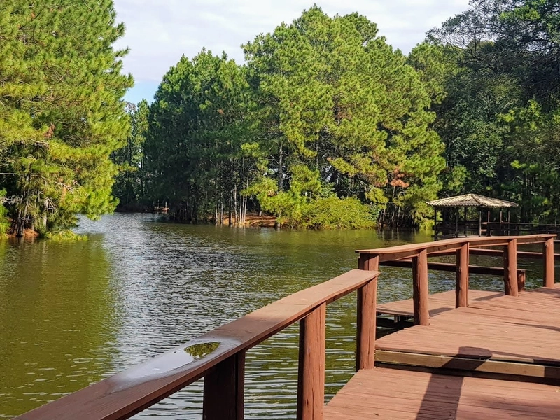 Casa em Condomínio Fechado com 4 dormitórios: 18ª foto da galeria de imagens do imóvel