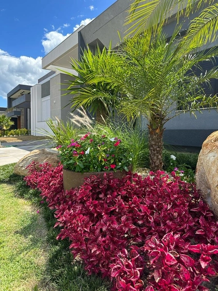 BLUE -  CASA TÉRREA, COM EXCELENTE LOCALIZAÇÃO: 8ª foto da galeria de imagens do imóvel