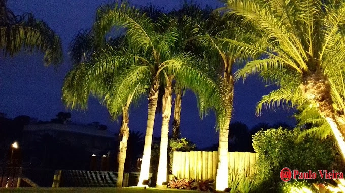 ESSENCE - EXCEPCIONAL APARTAMENTO: 2ª foto da galeria de imagens do imóvel