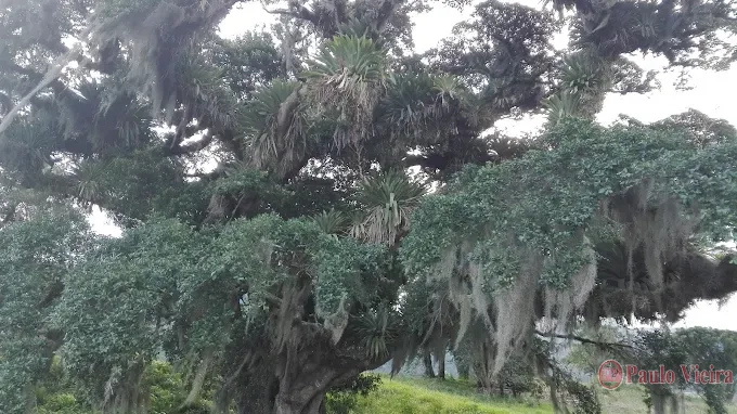 GREEN SAILS - EXCELENTE TERRENO: 3ª foto da galeria de imagens do imóvel