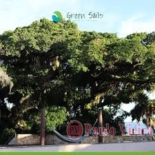 GREEN SAILS - EXCELENTE TERRENO EM ÓTIMA LOCALIZAÇÃO: 4ª foto da galeria de imagens do imóvel