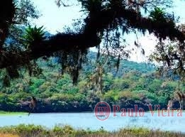 GREEN SAILS - EXCELENTE TERRENO EM ÓTIMA LOCALIZAÇÃO: 5ª foto da galeria de imagens do imóvel