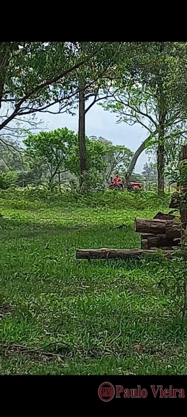 TERRA DE AREIA - EXCELENTE CHÁCARA: 17ª foto da galeria de imagens do imóvel
