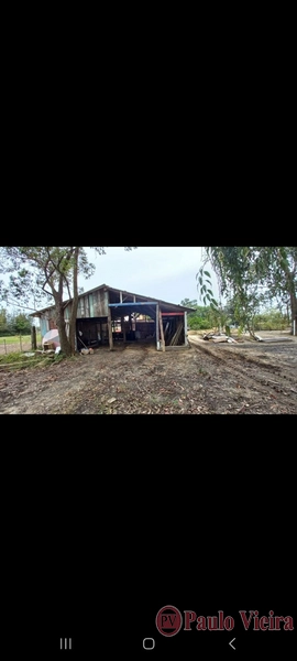 TERRA DE AREIA - EXCELENTE CHÁCARA: 18ª foto da galeria de imagens do imóvel