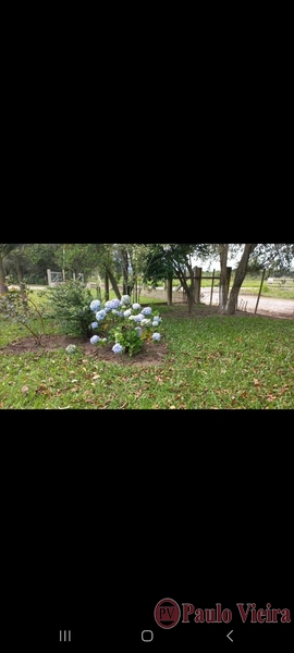 TERRA DE AREIA - EXCELENTE CHÁCARA: 14ª foto da galeria de imagens do imóvel