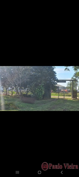 TERRA DE AREIA - EXCELENTE CHÁCARA: 2ª foto da galeria de imagens do imóvel