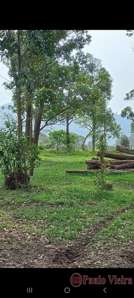 TERRA DE AREIA - EXCELENTE CHÁCARA: 19ª foto da galeria de imagens do imóvel