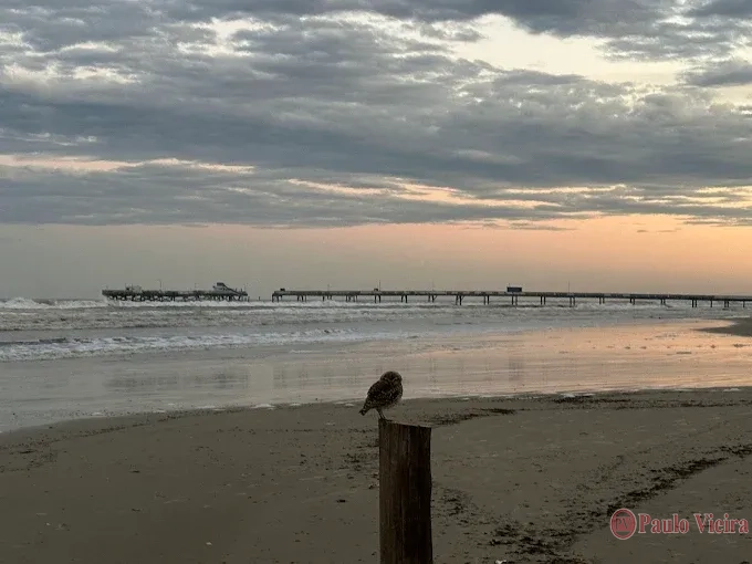 ATLÂNTIDA - EXCELENTE TERRENO DE ESQUINA FRENTE OESTE/SUL: 2ª foto da galeria de imagens do imóvel