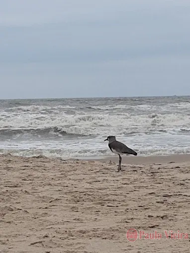 ATLÂNTIDA - EXCELENTE TERRENO DE ESQUINA FRENTE OESTE/SUL: 6ª foto da galeria de imagens do imóvel