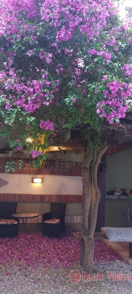 ATLÂNTIDA - ENCANTADORA CASA EM AMPLO TERRENO: 12ª foto da galeria de imagens do imóvel