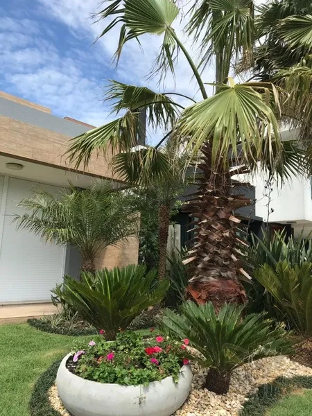 Casa térrea, mobiliado e decorada.: 5ª foto da galeria de imagens do imóvel