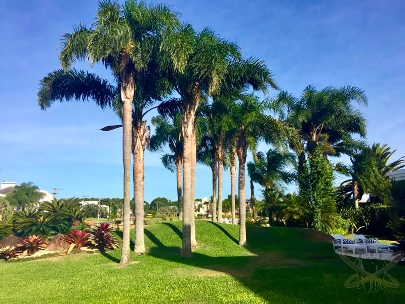 ATLÂNTIDA ILHAS PARK: 22ª foto da galeria de imagens do imóvel