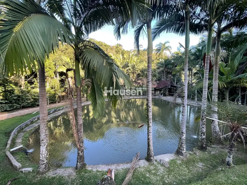 Lindo Sítio em Brusque na Limeira Alta!: 3ª foto da galeria de imagens do imóvel