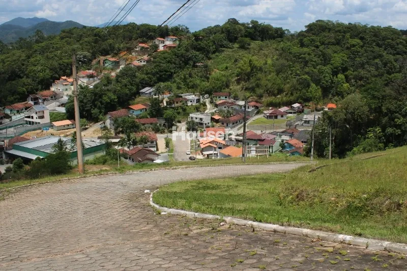 Lindos Terrenos no Loteamento Tulipa: 14ª foto da galeria de imagens do imóvel