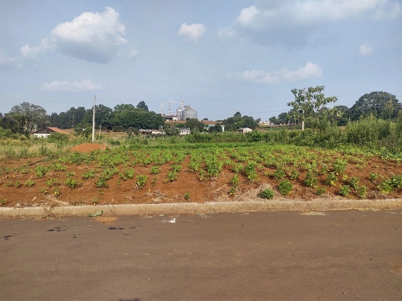 Terreno em Xaxim próximo a BR 282: 1ª foto da galeria de imagens do imóvel