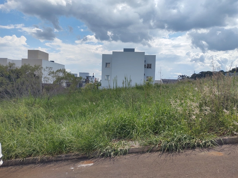 Terreno de 360 m² no bairro Paraiso: 1ª foto da galeria de imagens do imóvel