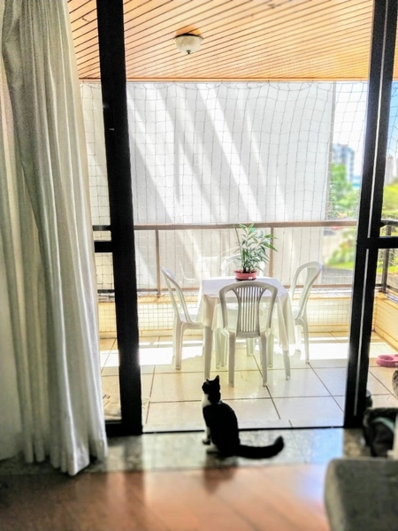 Apartamento com 3 quartos no centro de Chapecó: 7ª foto da galeria de imagens do imóvel
