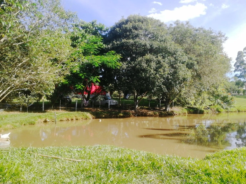 Rolante- 7 Hectares Com casa de Alvenaria Açoita Cavalo: 13ª foto da galeria de imagens do imóvel
