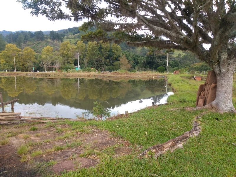 Rolante- 6 Hectares Açoita Cavalo: 12ª foto da galeria de imagens do imóvel