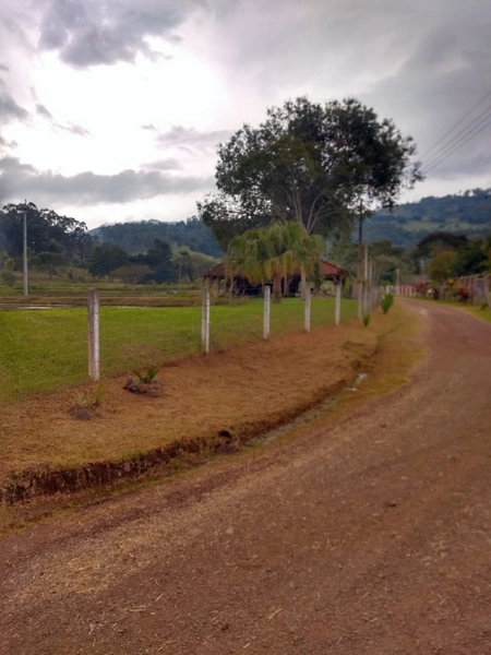 Rolante- 6 Hectares Açoita Cavalo: 8ª foto da galeria de imagens do imóvel