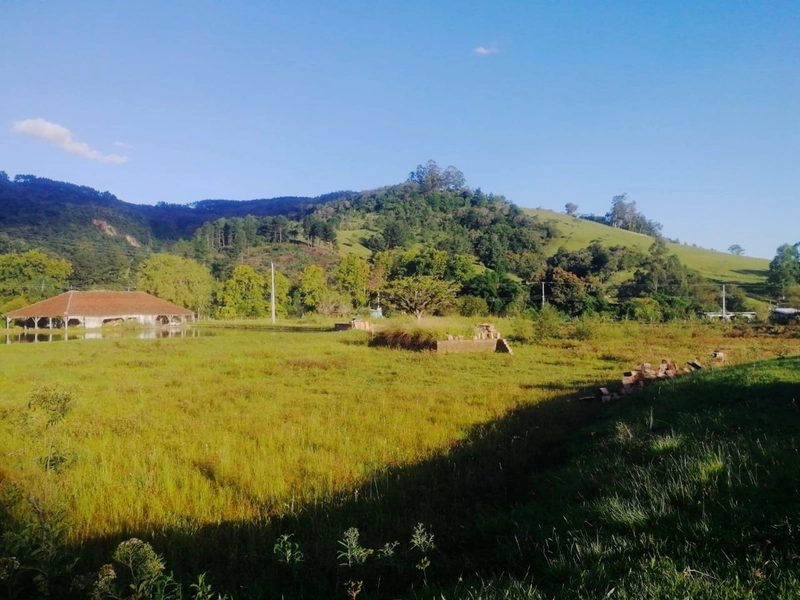 Rolante- 6 Hectares Açoita Cavalo: 15ª foto da galeria de imagens do imóvel
