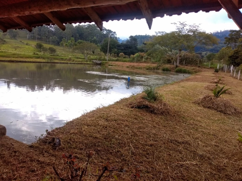 Rolante- 6 Hectares Açoita Cavalo: 7ª foto da galeria de imagens do imóvel