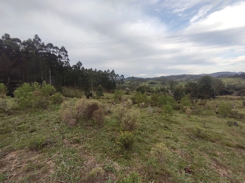 Rolante- 18 Hectares Campinas: 34ª foto da galeria de imagens do imóvel