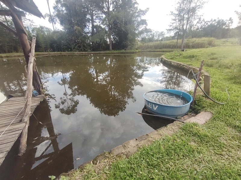 Rolante- 18 Hectares Campinas: 1ª foto da galeria de imagens do imóvel