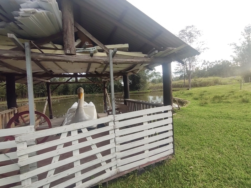 Rolante- 18 Hectares Campinas: 40ª foto da galeria de imagens do imóvel