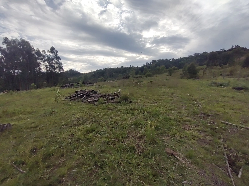 Rolante- 18 Hectares Campinas: 31ª foto da galeria de imagens do imóvel