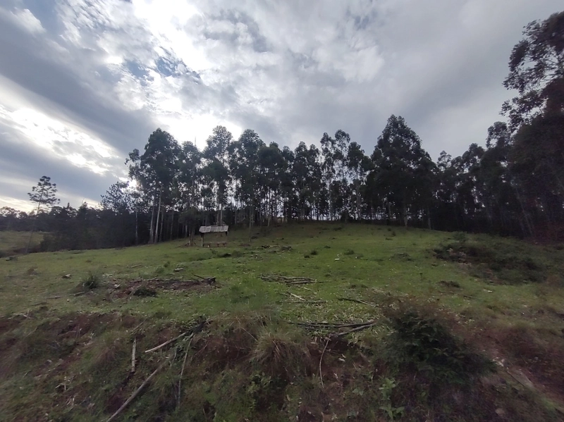 Rolante- 18 Hectares Campinas: 26ª foto da galeria de imagens do imóvel