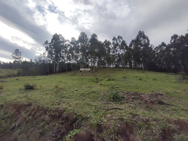 Rolante- 18 Hectares Campinas: 27ª foto da galeria de imagens do imóvel