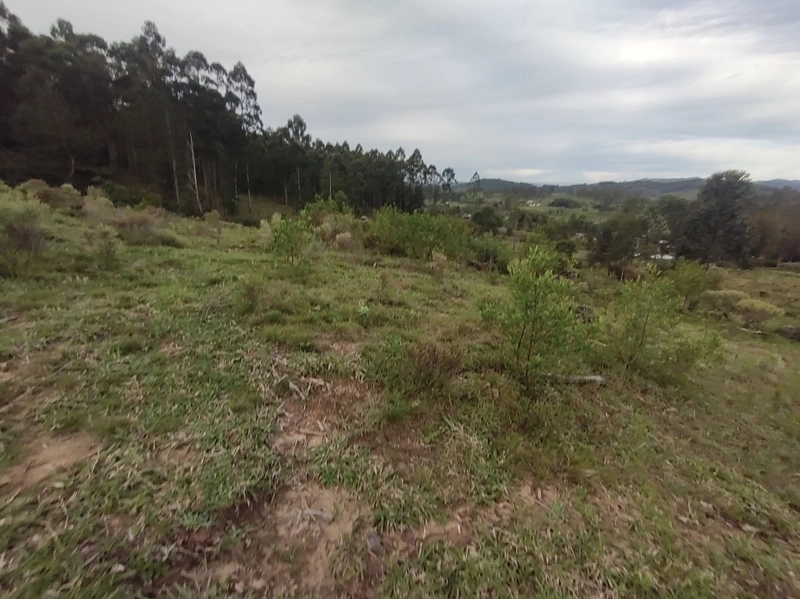 Rolante- 18 Hectares Campinas: 33ª foto da galeria de imagens do imóvel