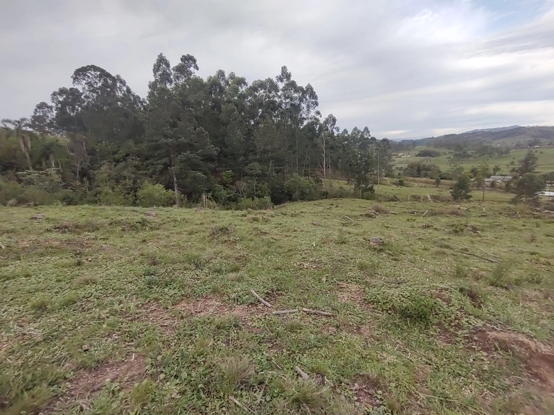 Rolante- 18 Hectares Campinas: 36ª foto da galeria de imagens do imóvel