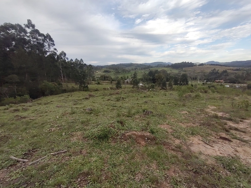 Rolante- 18 Hectares Campinas: 35ª foto da galeria de imagens do imóvel