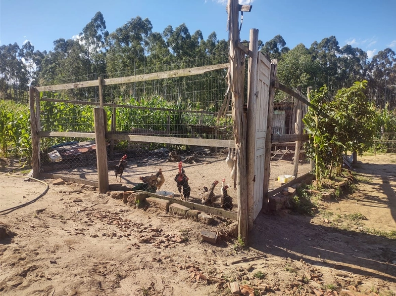 Rolante- 18 Hectares Campinas: 10ª foto da galeria de imagens do imóvel