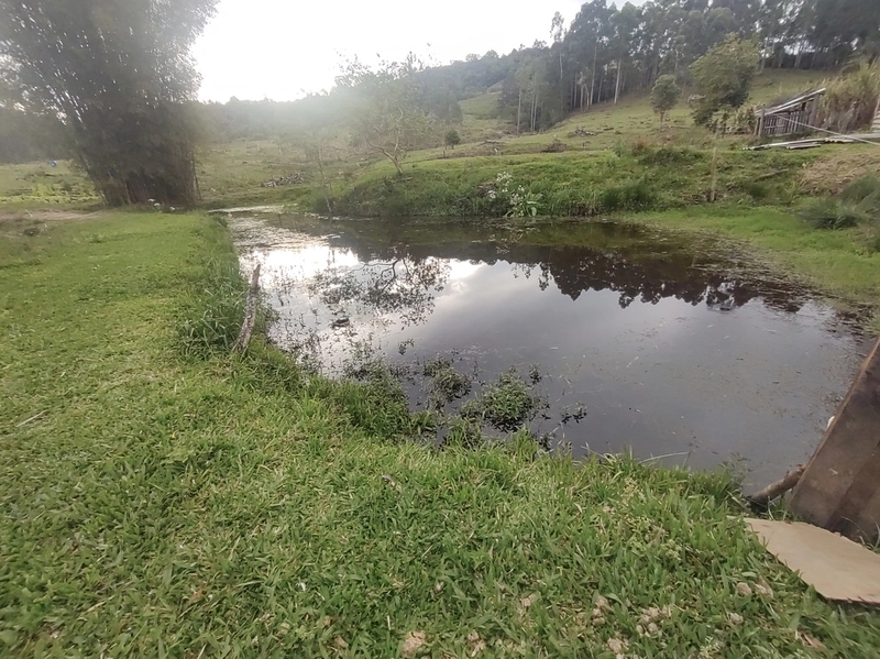 Rolante- 18 Hectares Campinas: 38ª foto da galeria de imagens do imóvel