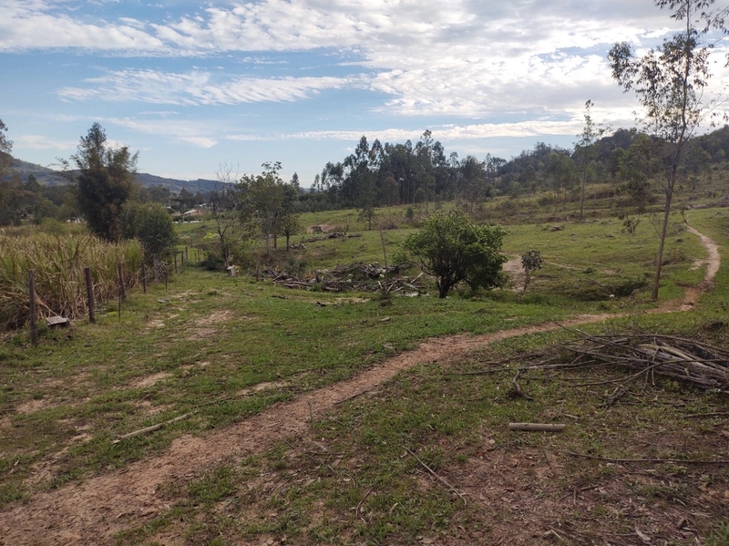 Rolante- 18 Hectares Campinas: 18ª foto da galeria de imagens do imóvel
