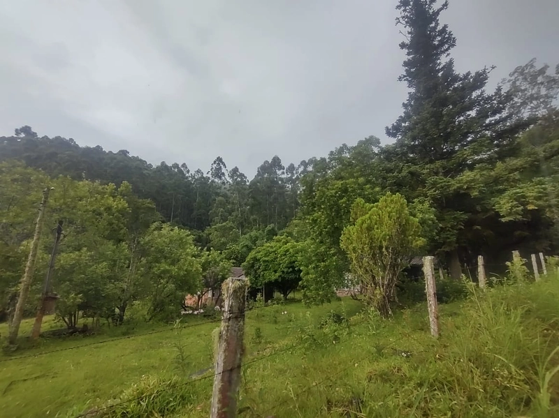 Taquara- 18 Hectares com mato plantado Rio da Ilha: 3ª foto da galeria de imagens do imóvel