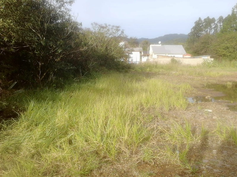 Terreno- 875 m² Grassman: 5ª foto da galeria de imagens do imóvel