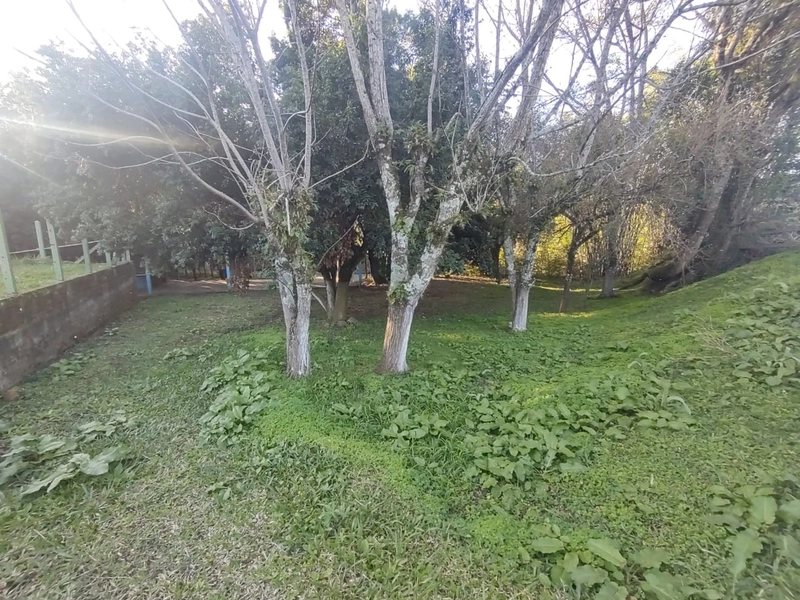 Terreno- 1240 m² Alto Rolante com Camping: 7ª foto da galeria de imagens do imóvel