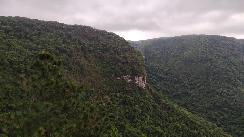 Riozinho- Sítio de 195 Hectares Serra da Boa Vista: 15ª foto da galeria de imagens do imóvel