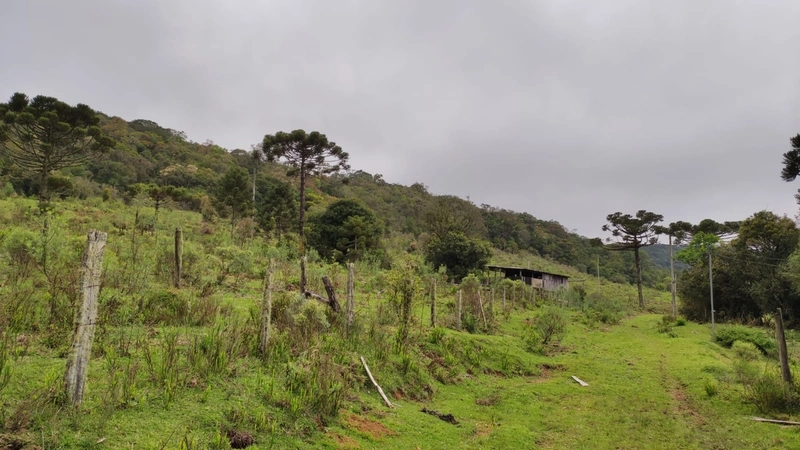 Riozinho- Sítio de 195 Hectares Serra da Boa Vista: 16ª foto da galeria de imagens do imóvel