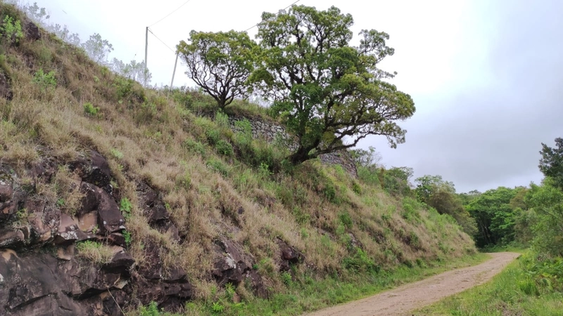 Riozinho- Sítio de 195 Hectares Serra da Boa Vista: 9ª foto da galeria de imagens do imóvel